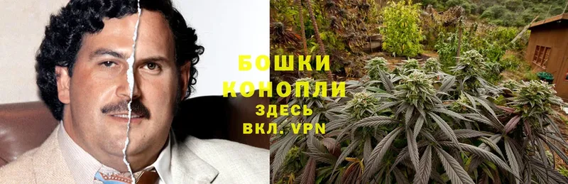 Шишки марихуана SATIVA & INDICA  где найти наркотики  Константиновск 